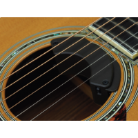 Fishman Fluence Acoustic Nashville Legend - Vue 3